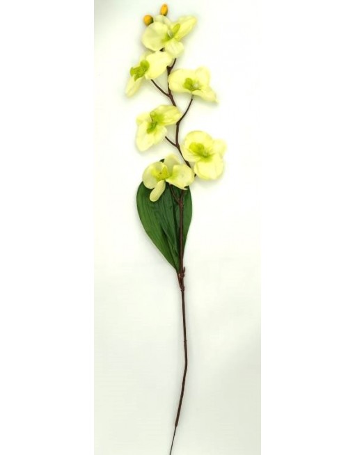 Selyem orchidea ág