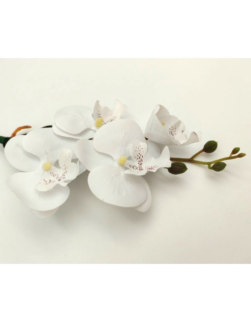 Gumi orchidea, 37cm