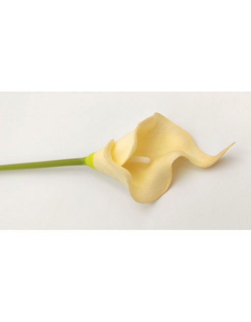 Gumi kála, 38 cm
