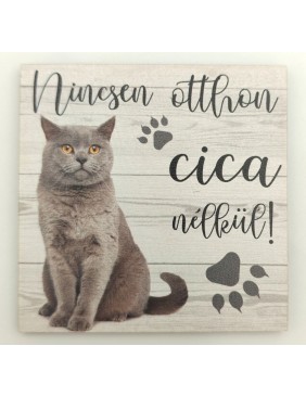 Fa tábla, cica