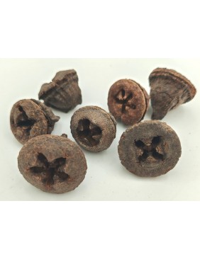 Eukalyptus gomb, nagy csomag
