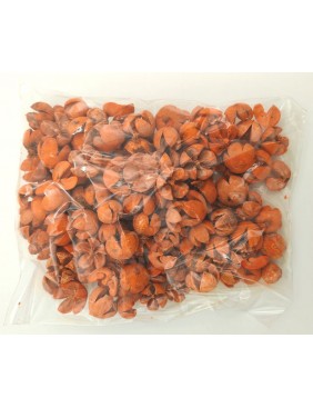 Tulipán termés, nagy csomag