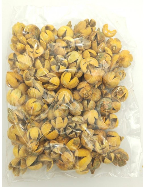 Tulipán termés, nagy csomag