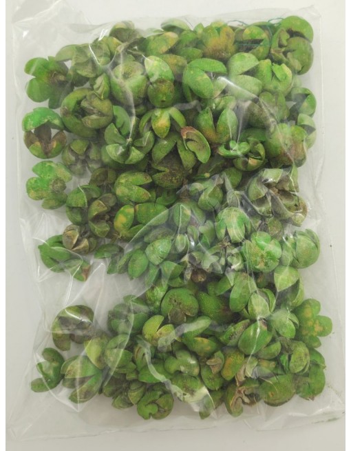Tulipán termés, nagy csomag
