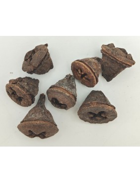 Eukalyptus gomb, kis csomag