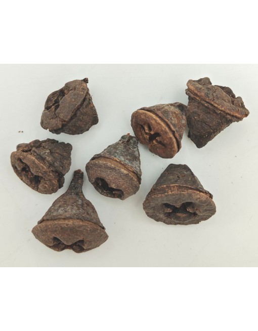 Eukalyptus gomb, kis csomag