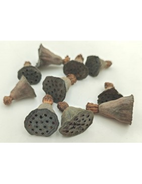Mini lotus, kis csomag