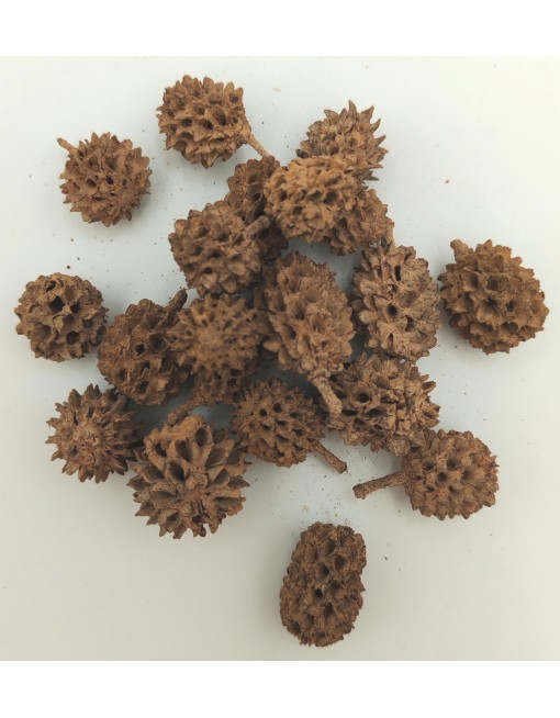 Casuarina, kis csomag
