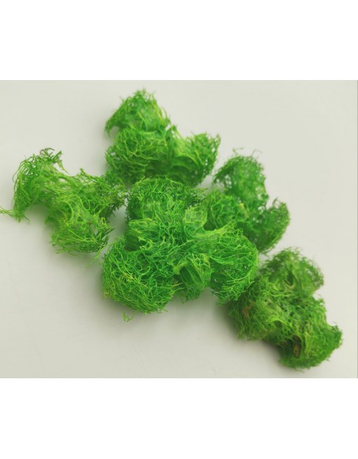 Luffa propeller - kis csomag