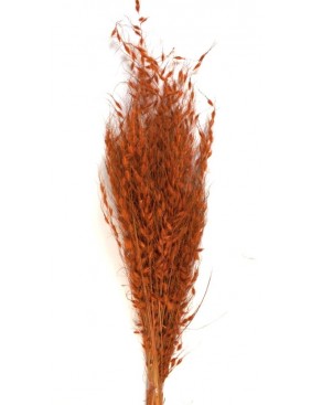 Borzas fű