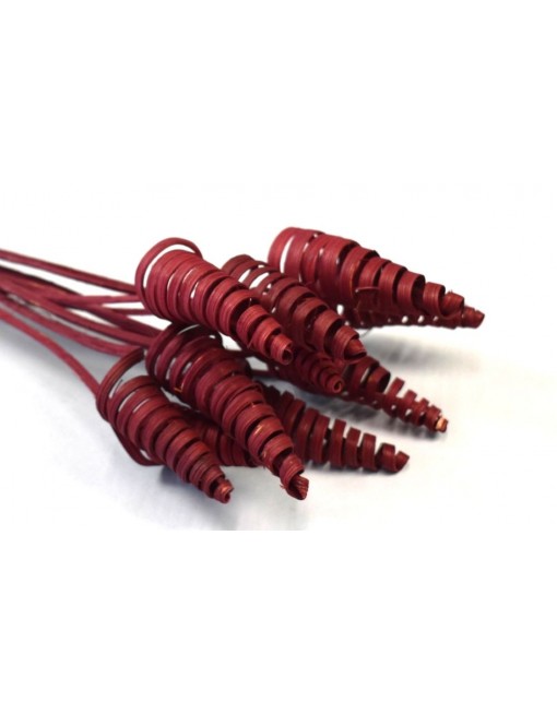 Cane cone, 12db
