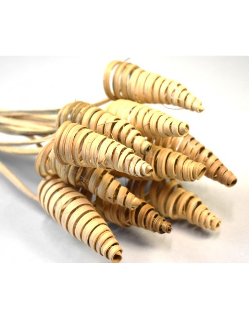 Cane cone, 12db