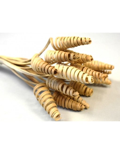 Mini cane cone, 15 db