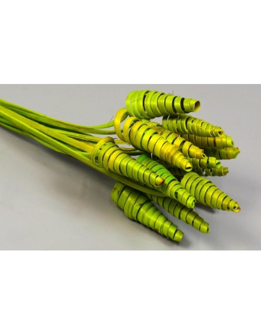 Mini cane cone, 14 db