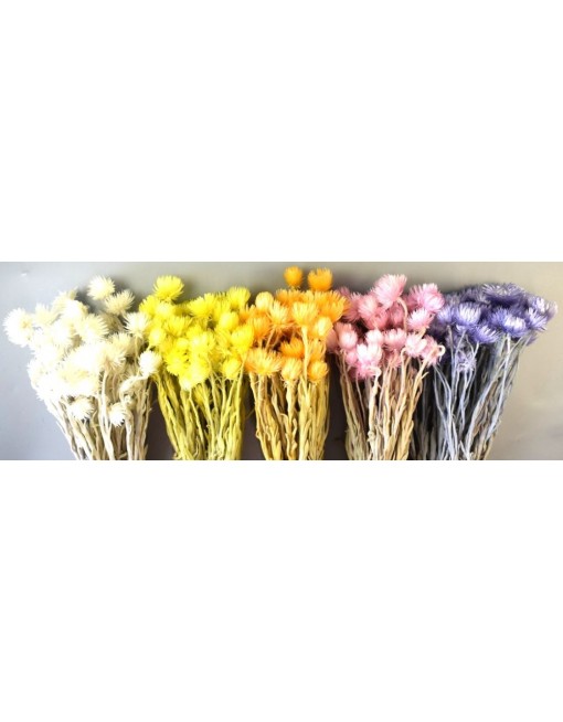 Capblume csokor