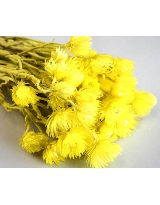 Capblume csokor