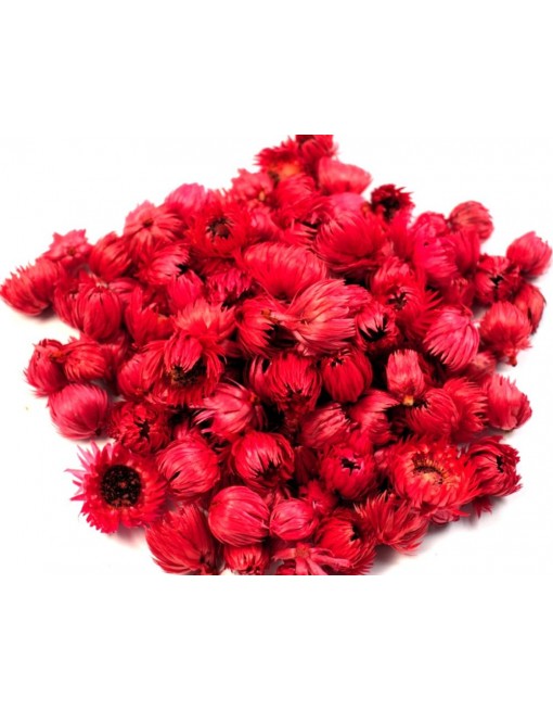 Capblume fej