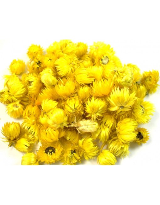 Capblume fej