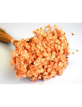 Glixia, 50 g