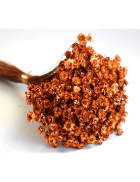 Glixia, 50 g