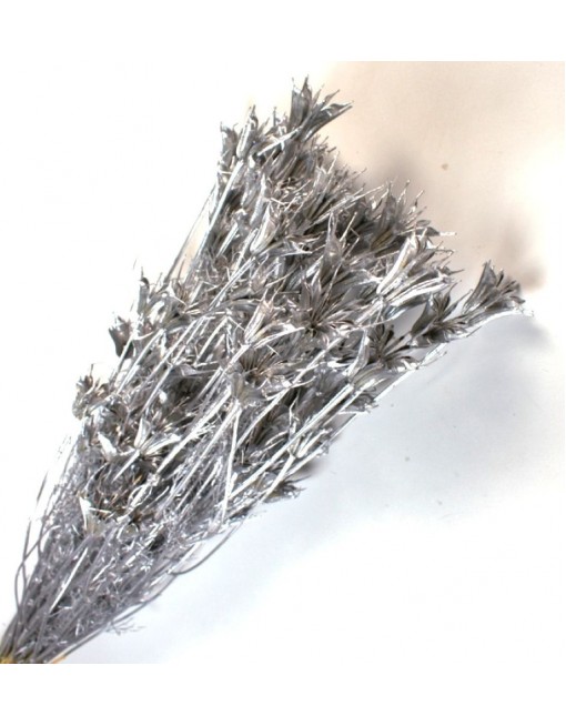 Nigella orientale, metál