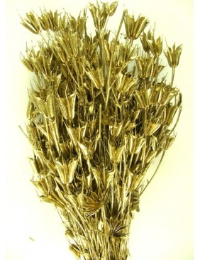 Nigella orientale, metál