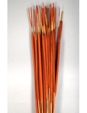 Typha indiai, egész csomag