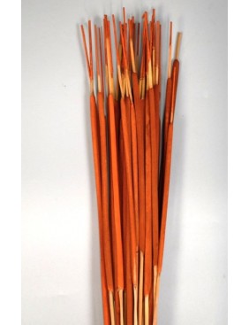 Typha indiai, egész csomag