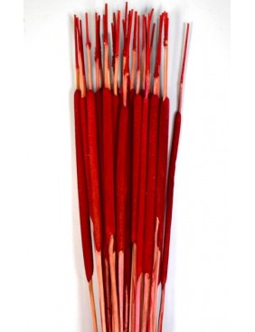 Typha indiai, egész csomag