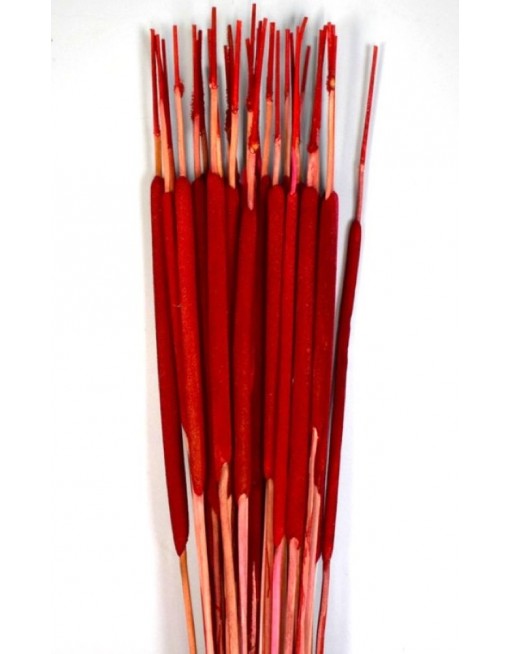 Typha indiai, egész csomag