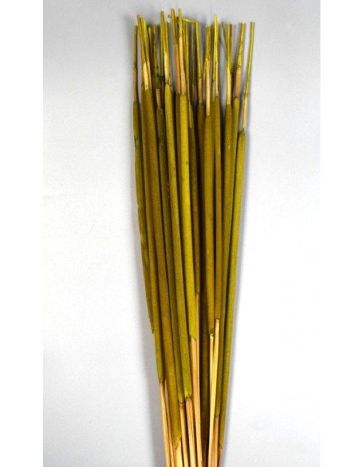 Typha indiai, egész csomag