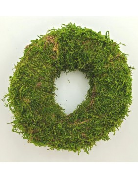Moha alap, 10 cm
