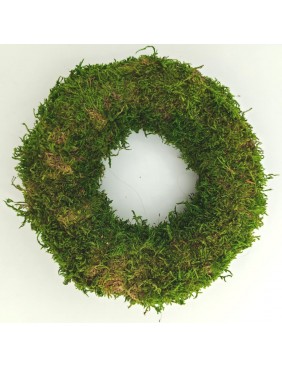 Moha alap, 15 cm