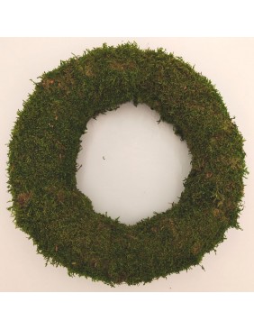 Moha alap, 25 cm