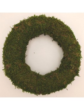 Moha alap, 25 cm