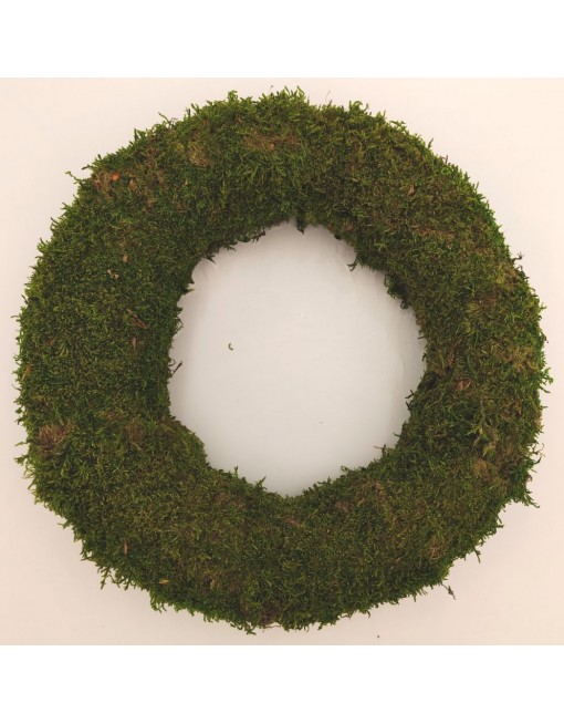 Moha alap, 25 cm