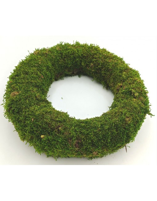 Moha alap, 25 cm