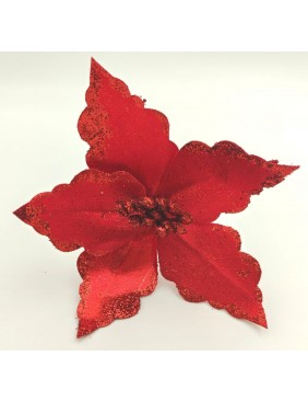 Piros mikulásvirág