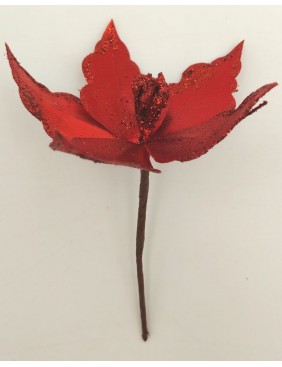 Piros mikulásvirág