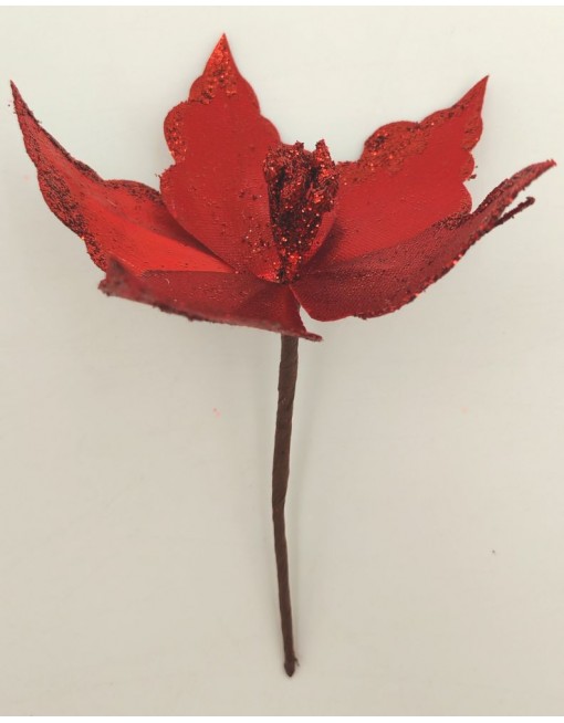 Piros mikulásvirág