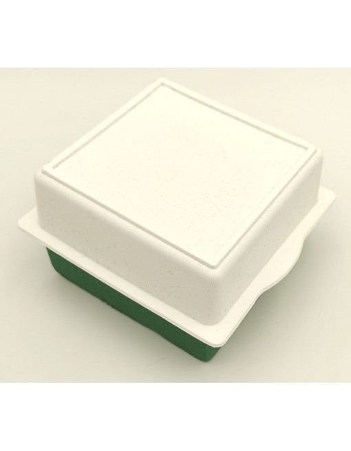 Fehér deco tál oázissal