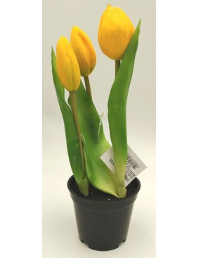 Cserepes gumi tulipán 1