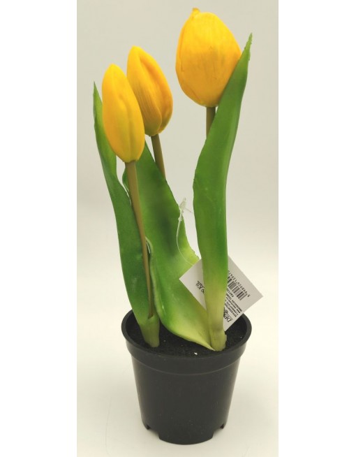 Cserepes gumi tulipán 1