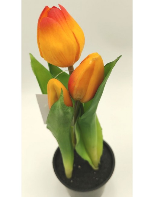 Cserepes gumi tulipán 1