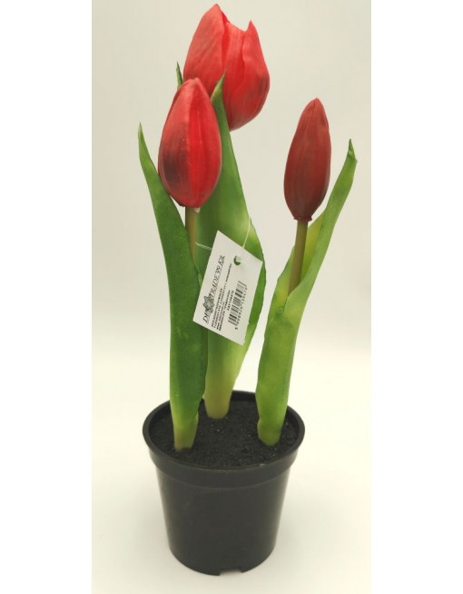 Cserepes gumi tulipán 1