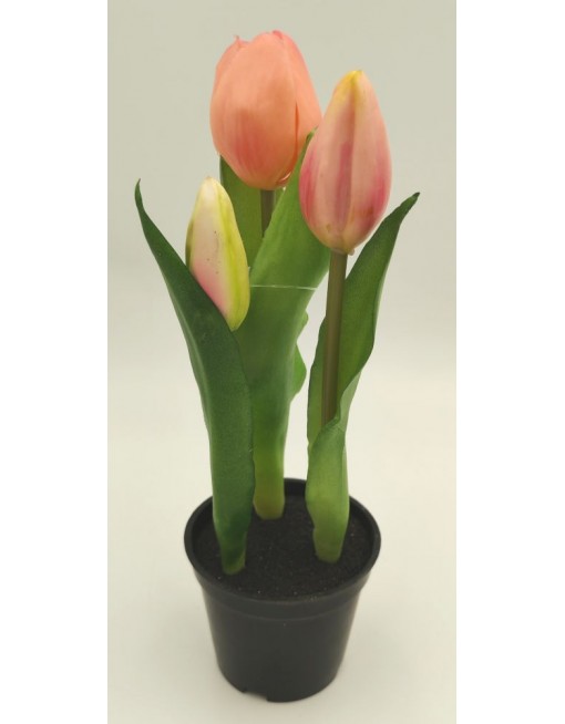 Cserepes gumi tulipán 1