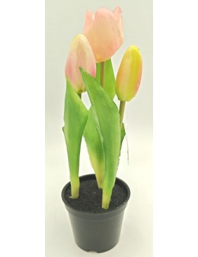 Cserepes gumi tulipán 2