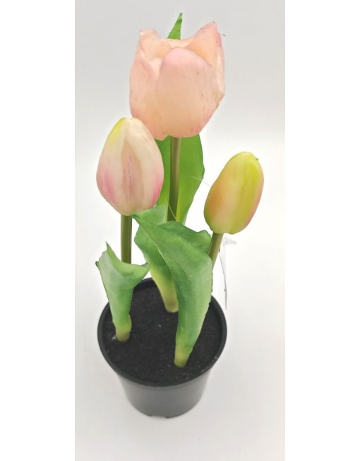 Cserepes gumi tulipán 2