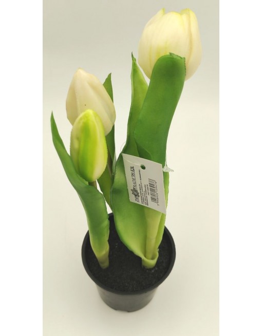 Cserepes gumi tulipán 2