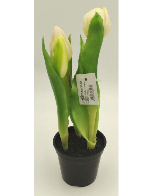 Cserepes gumi tulipán 2